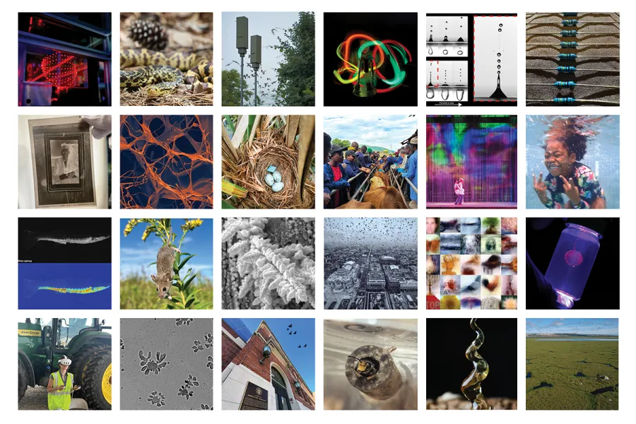 grid with the 24 semifinalists images