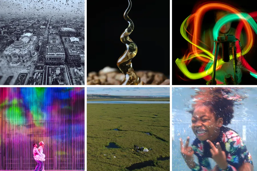 grid with the six winning images