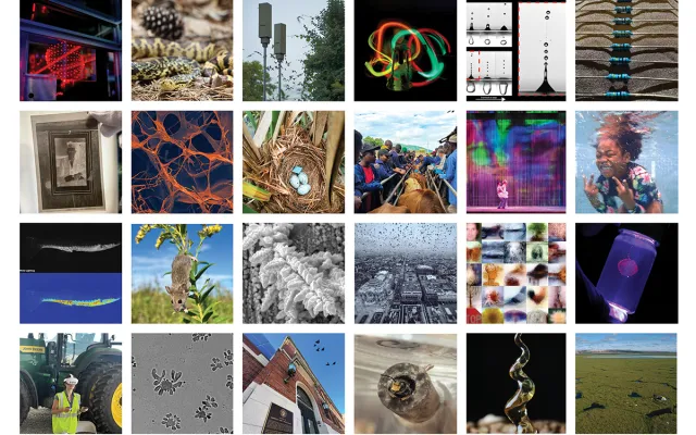 grid with the 24 semifinalists images