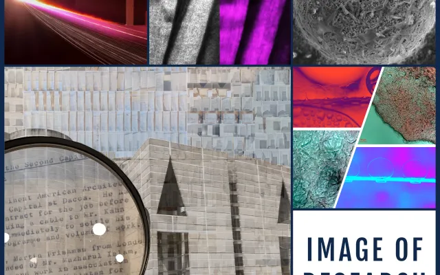 a collage of some of the images from the 2024 Image of Research competition