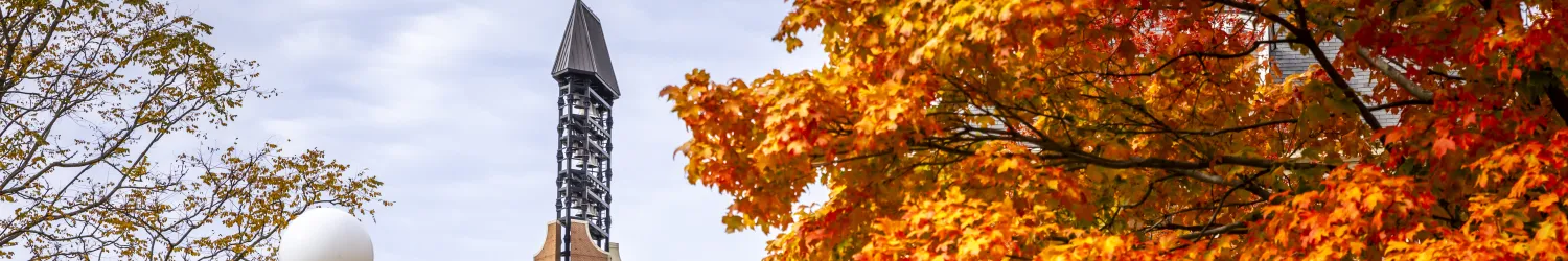 Bell tower on south quad and fall tree